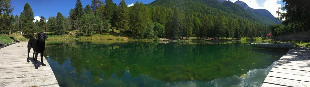 Chalet Safran Грахен Экстерьер фото